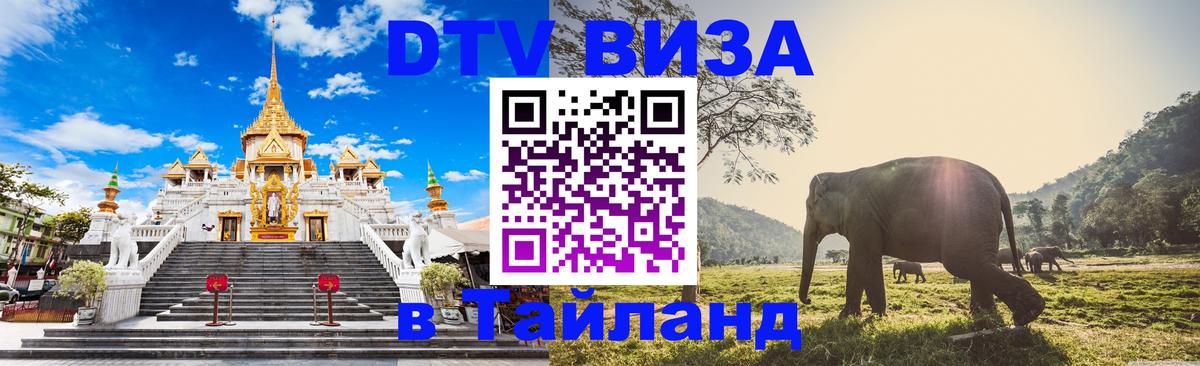 Оформление DTV визы под ключ: стоимость и тарифы, только загранпаспорт - Реутов 